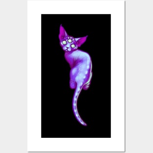 Galaxy Cat Posters and Art